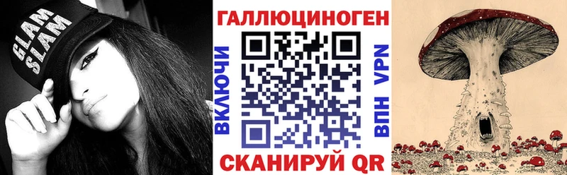 Купить где  Орехово-Зуево  Псилоцибиновые грибы Cubensis 